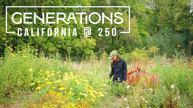 Generations: California @ 250